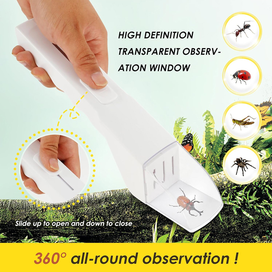 Fruit Roll Up - Fly Trap Insect Catcher Moth Fruit