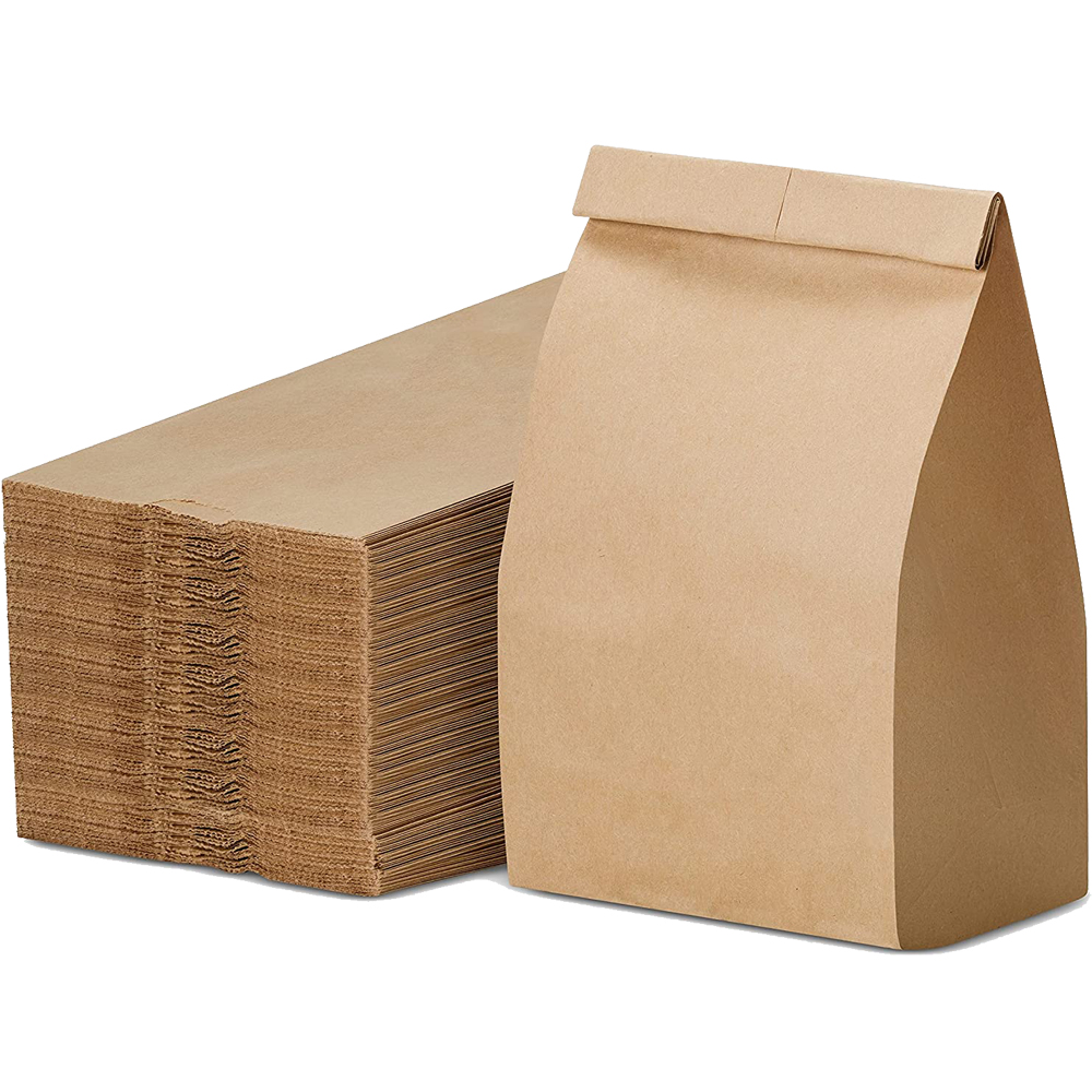 Paper Lunch Bags 20/50PCS Kraf - Food Grocery Snacks ulasan dan harga
