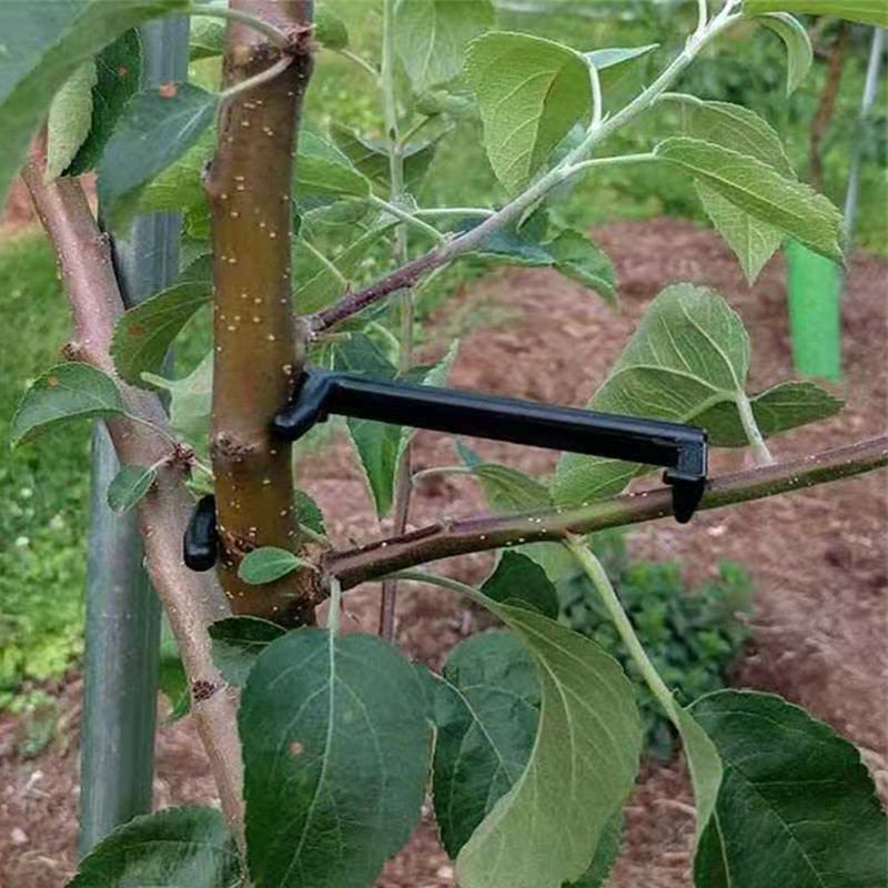 Fruit Tree Branch Puller Plant - Fruit Roll Up ulasan dan harga