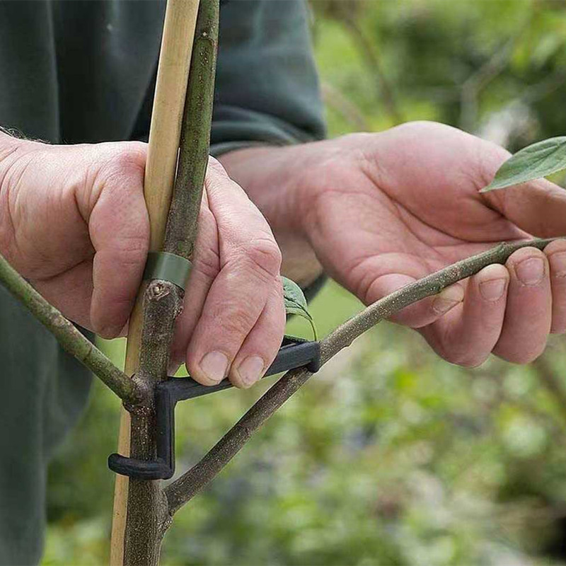 Fruit Tree Branch Puller Plant - Fruit Roll Up ulasan dan harga
