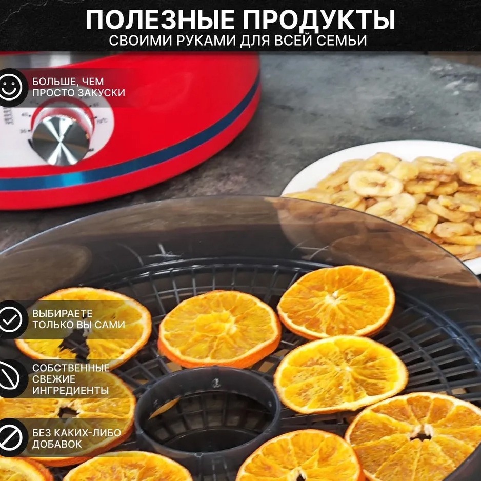 Household small fruit drying m - Food Dehydrator Snacks ulasan dan harga