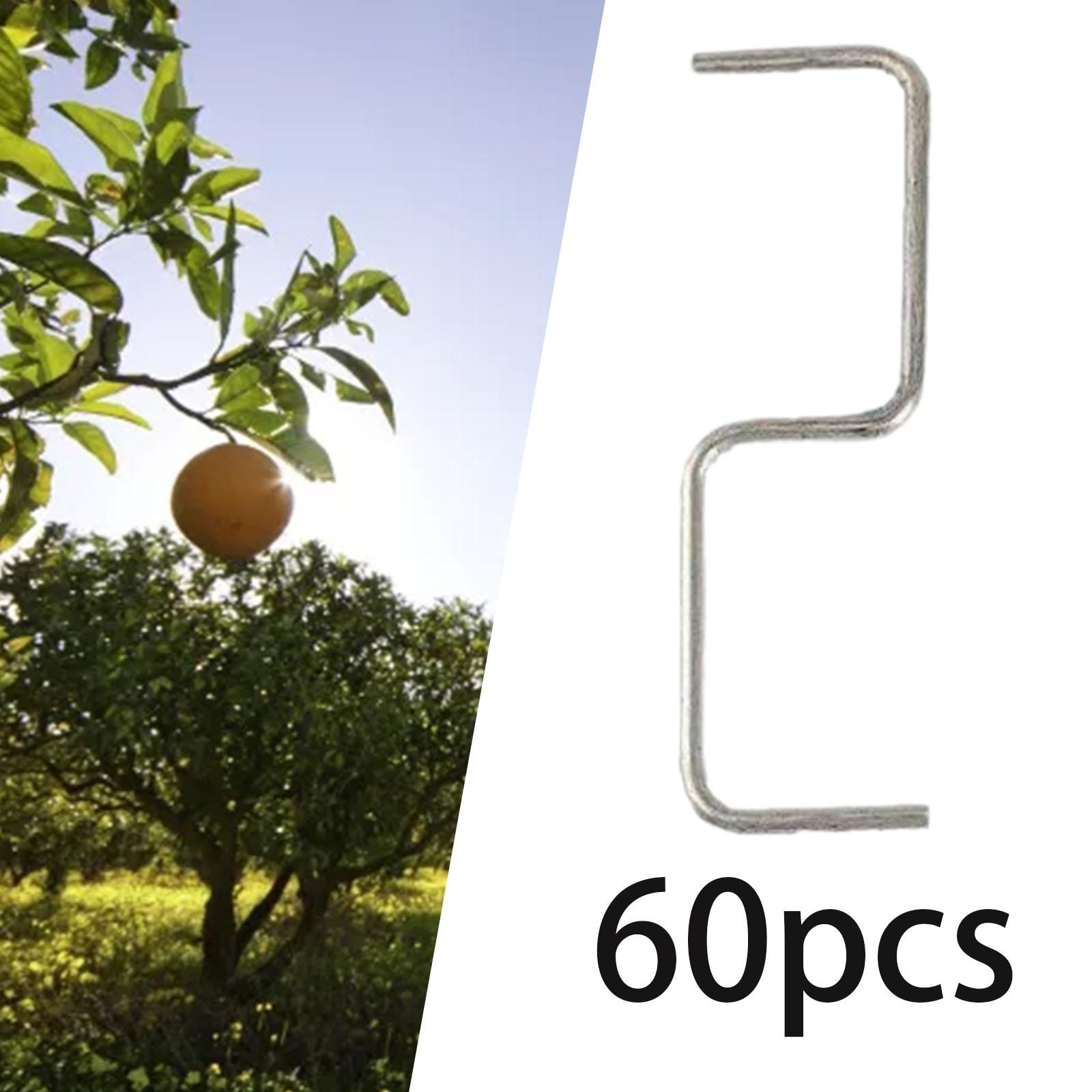 60 Pieces Fruit Tree Branch Pu - Fruit Roll Up ulasan dan harga